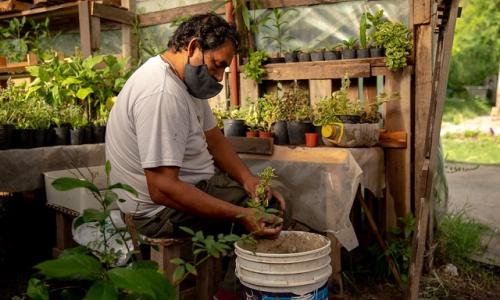 El Programa de Agricultura Urbana de Rosario, finalista del Premio de Ciudades 2020-2021 del WRI, se ha convertido en una piedra angular de su planificación de acción climática inclusiva, al tiempo que alivia la escasez de alimentos y brinda oportunidades económicas. Foto de WRI Ross Center for Sustainable Cities