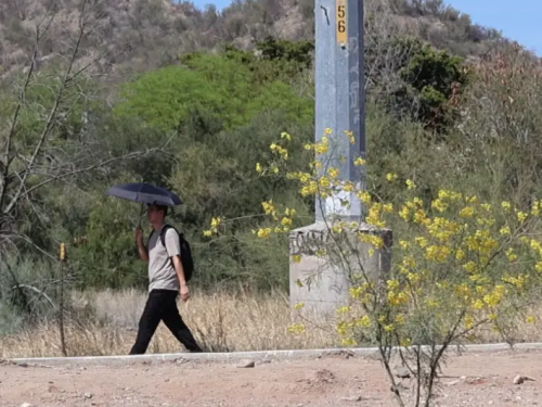 Cómo la ciencia ciudadana está refrescando los barrios de México