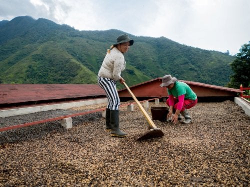 Dos mujeres ayudan a extender granos de café para secarlos en una finca cafetera colombiana. Solo el 54 % de las mujeres participa en la fuerza laboral del país. 