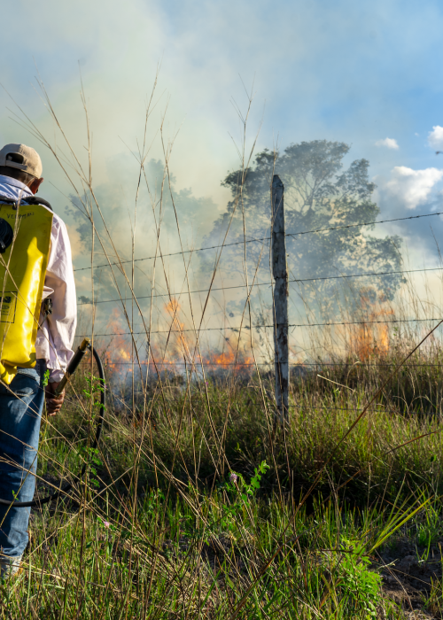 Portada Incendios Ind