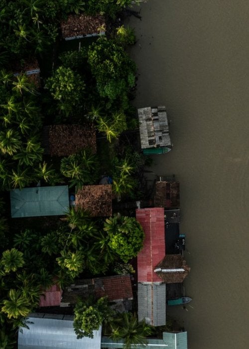 Webinar Integrar la naturaleza en los bancos multilaterales de desarrollo